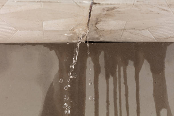 Professional Water Damage Inspection technician working in El Dorado Hills, CA